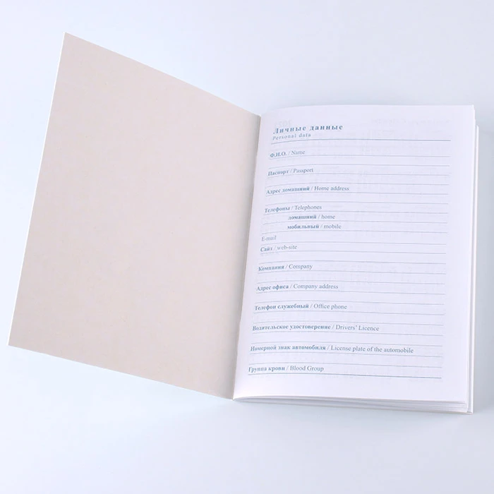 Ежедневник недатированный А6 48л. "Зимняя история"