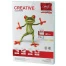 Бумага CREATIVE color (Креатив), А4, 80 г/м2, 250 л. (5 цв. х 50 л.), цветная