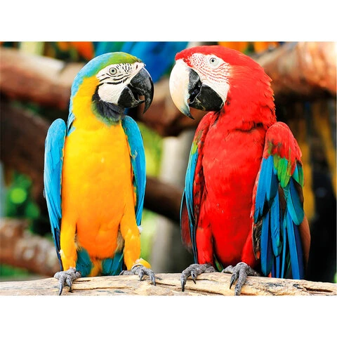 Картина стразами (алмазная мозаика) 40х50 см, ОСТРОВ СОКРОВИЩ