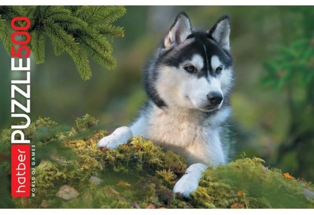 Пазлы 500 А2ф 460х340мм Любимец