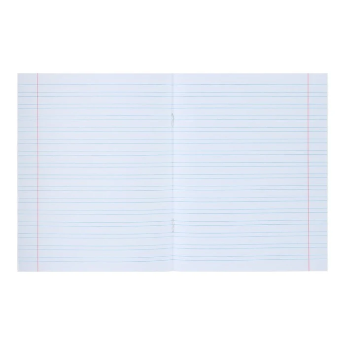 Тетрадь 12 листов, узлая линия Школьная, обл мел карт, ВД лак, бл офс, ЗЕЛЕНАЯ