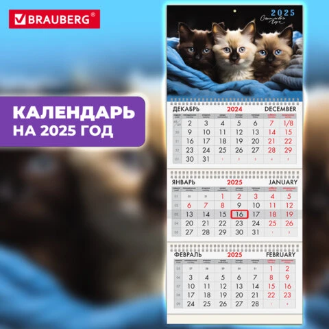 Календарь квартальный на 2025 г., 3 блока, 3 гребня, с бегунком, мелованная