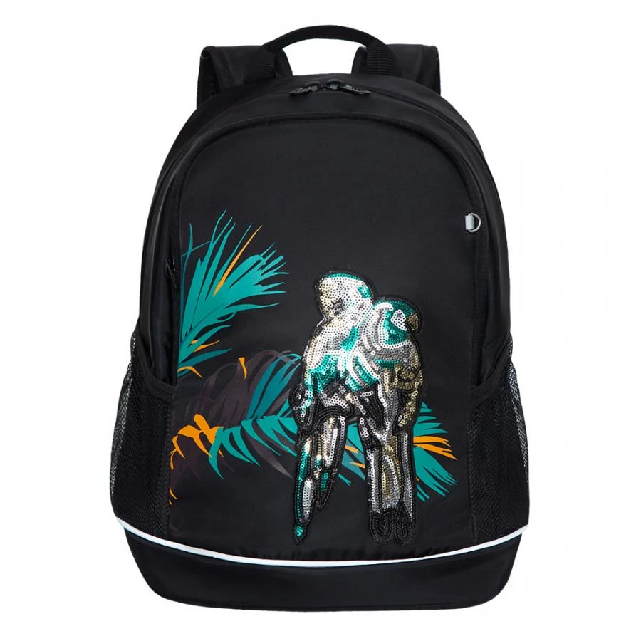 RG-163-2 Рюкзак школьный (черный)