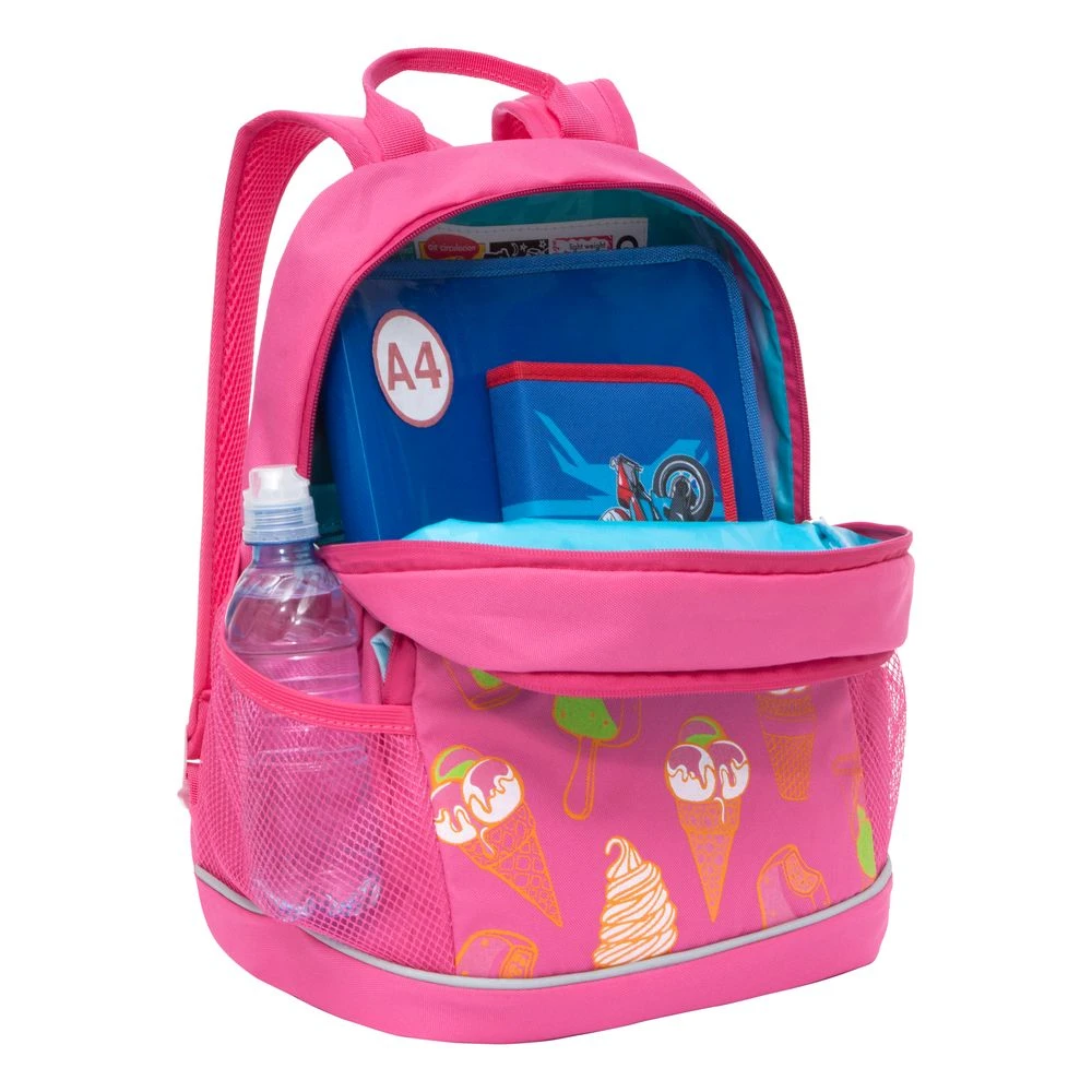 RG-163-4 Рюкзак школьный (жимолость)