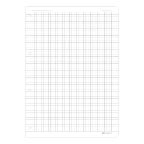 Сменный блок к тетради на кольцах БОЛЬШОЙ ФОРМАТ А4 120 л., BRAUBERG, ПОВЫШЕННОЙ Сменный блок к тетради на кольцах БОЛЬШОЙ ФОРМАТ А4 120 л., BRAUBERG, ПОВЫШЕННОЙ