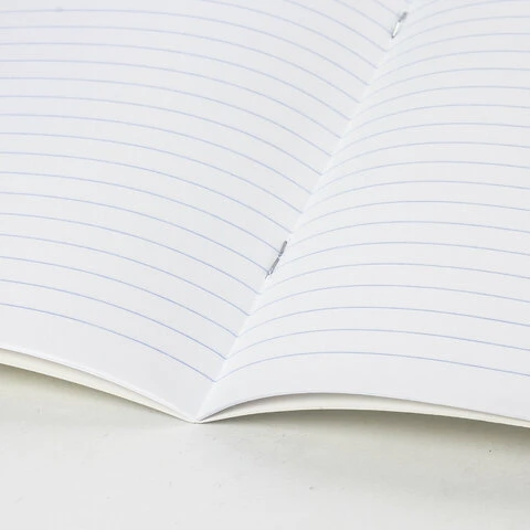 Тетрадь ЗЕЛЁНАЯ обложка 12 л., узкая линия с полями, офсет, "ПЗБМ", Тетрадь ЗЕЛЁНАЯ обложка 12 л., узкая линия с полями, офсет, "ПЗБМ",