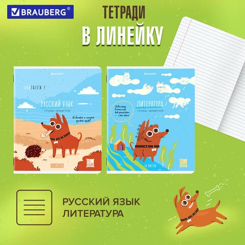 Тетради предметные, КОМПЛЕКТ 12 ПРЕДМЕТОВ, "DOG БОБИК", 48 л.,