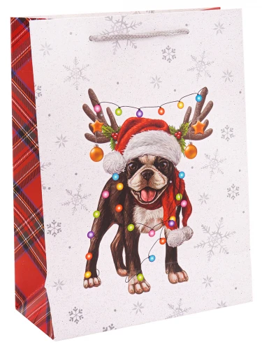 Dream cards Пакет подарочный с мат.лам. и глиттером (L) Смешной французский