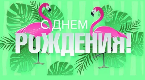 Конверт для денег С днем рождения (фламинго) 1-20-1028