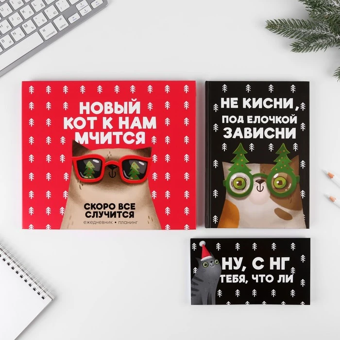 Набор «Новый кот к нам мчится»: ежедневник А5, 80 листов и планинг 50 листов