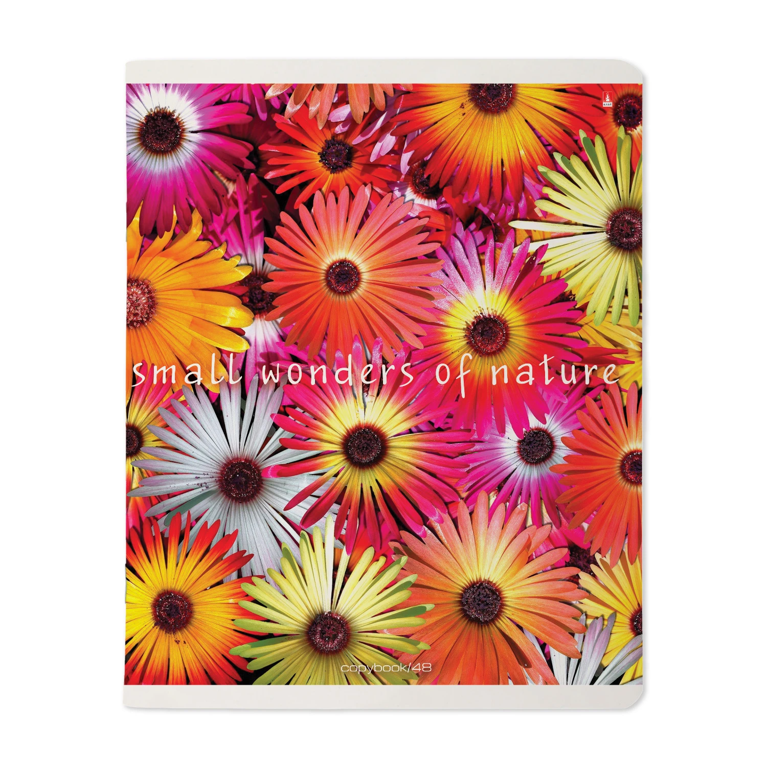 ТЕТРАДЬ 48 Л. "ЦВЕТОЧНЫЙ ПАТТЕРН" 5 ВИДОВ