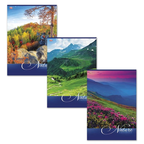 Тетрадь 80 л., А4, HATBER VK, клетка, обложка мелованный картон,