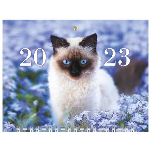 Календарь квартальный с бегунком 2023 г., 3 блока, 3 гребня, МИНИ, "Кот