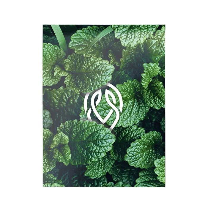 Блокнот Schoolformat А6 40 л. кл. СИМВОЛЫ ПРИРОДЫ скреп. мел. карт. гл.лам.