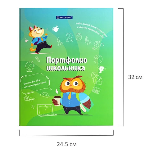 Папка-портфолио школьника "ОТЛИЧНИК", 4 кольца, 20 файлов, 10