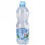Вода ГАЗИРОВАННАЯ питьевая СЕНЕЖСКАЯ, 0,5 л, пластиковая бутылка