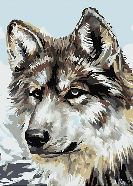 Картина по номерам Серый волк