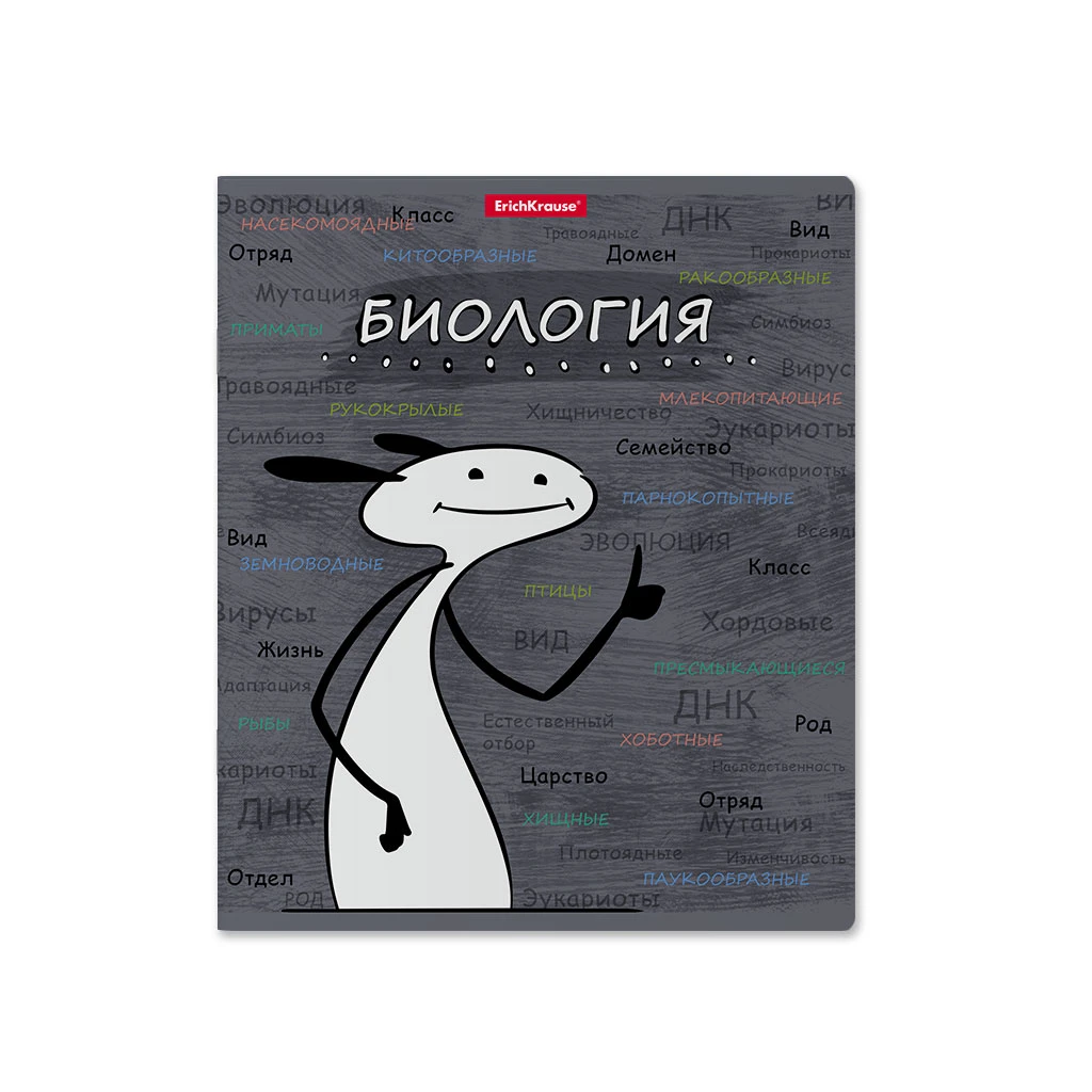 Тетрадь общая ученическая с пластиковой обложкой на скобе ErichKrause® Чубрик,
