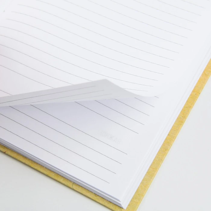 Ежедневник «Золотой учитель», твердая обложка, А5, 80 листов МИКС