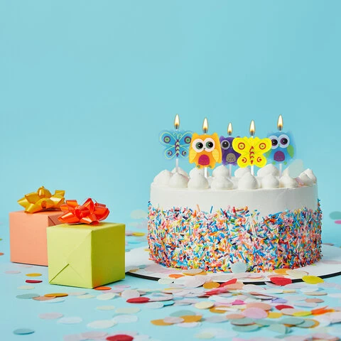 Свечи фигурные для торта на шпажках "Совы и бабочки", 5 шт.,