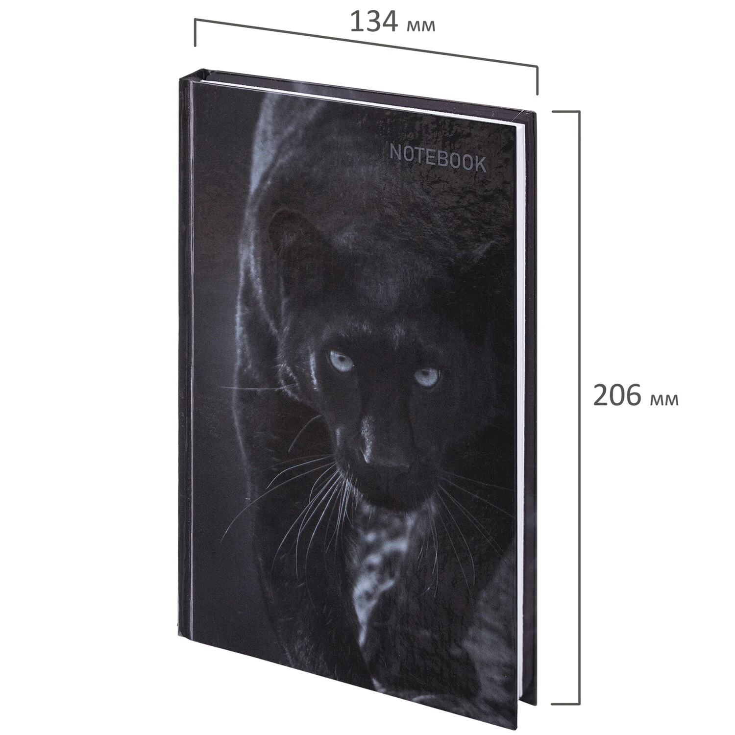 Блокнот А5 (134х206 мм), 96 л., твёрдый, клетка, STAFF, "Пантера",