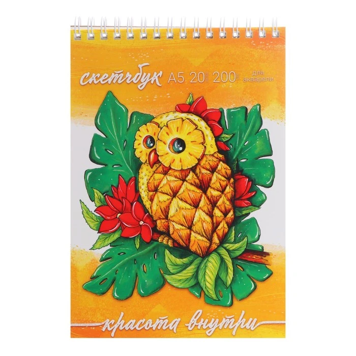 Скетчбук А5, 20 листов на гребне "АнанаСова", обложка мелованный