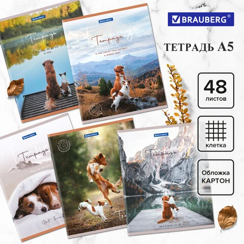 Тетрадь А5 48 л. BRAUBERG скоба, клетка, обложка картон, "Best