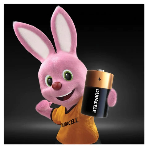 Батарейки DURACELL Basic, D (LR20, 13А), алкалиновые, КОМПЛЕКТ 2 шт., в