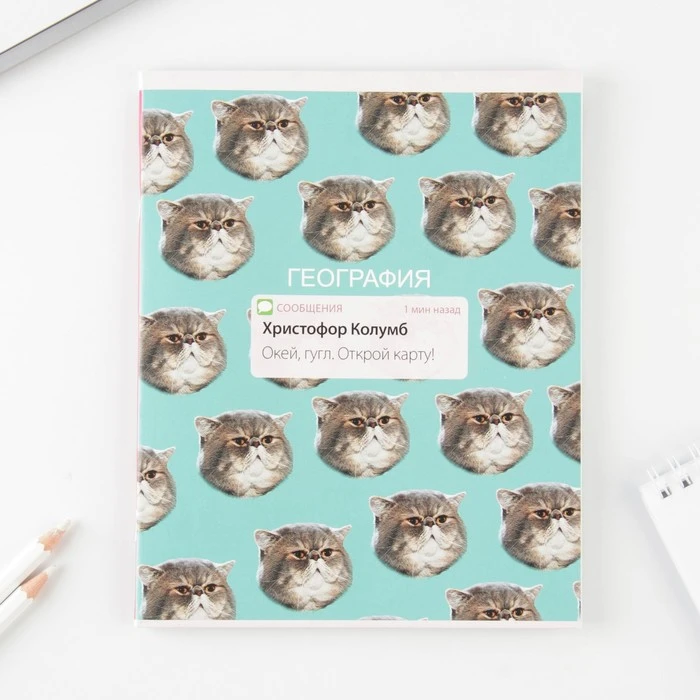 Предметная тетрадь, 48 листов, «УВЕДОМЛЕНИЯ», со справ. мат. «География»,