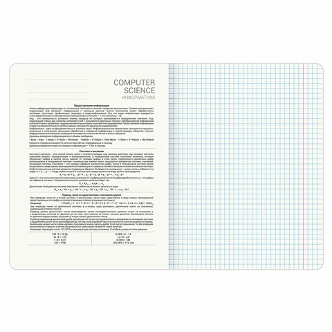 Тетрадь предметная ANIME 48 л., глянцевый УФ-лак, ИНФОРМАТИКА, клетка, BRAUBERG,