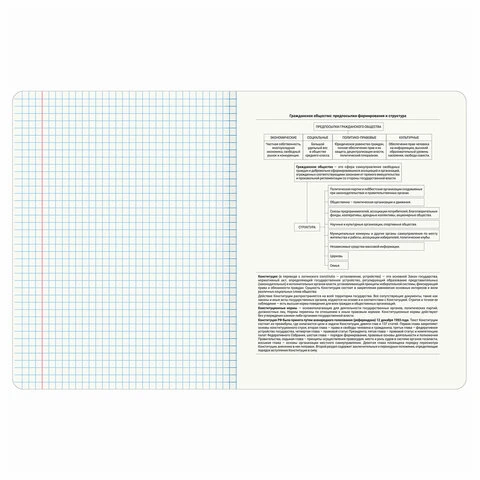 Тетрадь предметная "КОТ-ЭНТУЗИАСТ" 48 л., TWIN-лак, ОБЩЕСТВОЗНАНИЕ, Тетрадь предметная "КОТ-ЭНТУЗИАСТ" 48 л., TWIN-лак, ОБЩЕСТВОЗНАНИЕ,