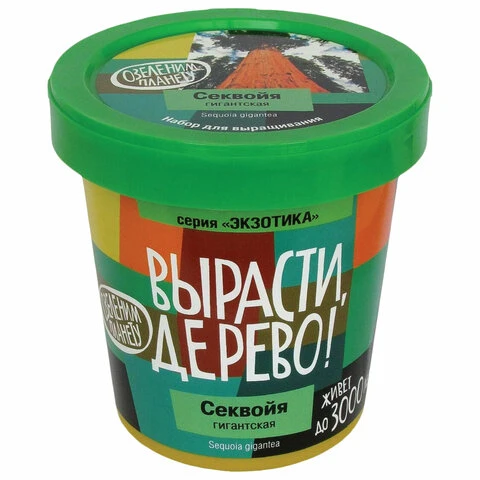 Набор для выращивания растений ВЫРАСТИ ДЕРЕВО! "Секвойя" (банка,