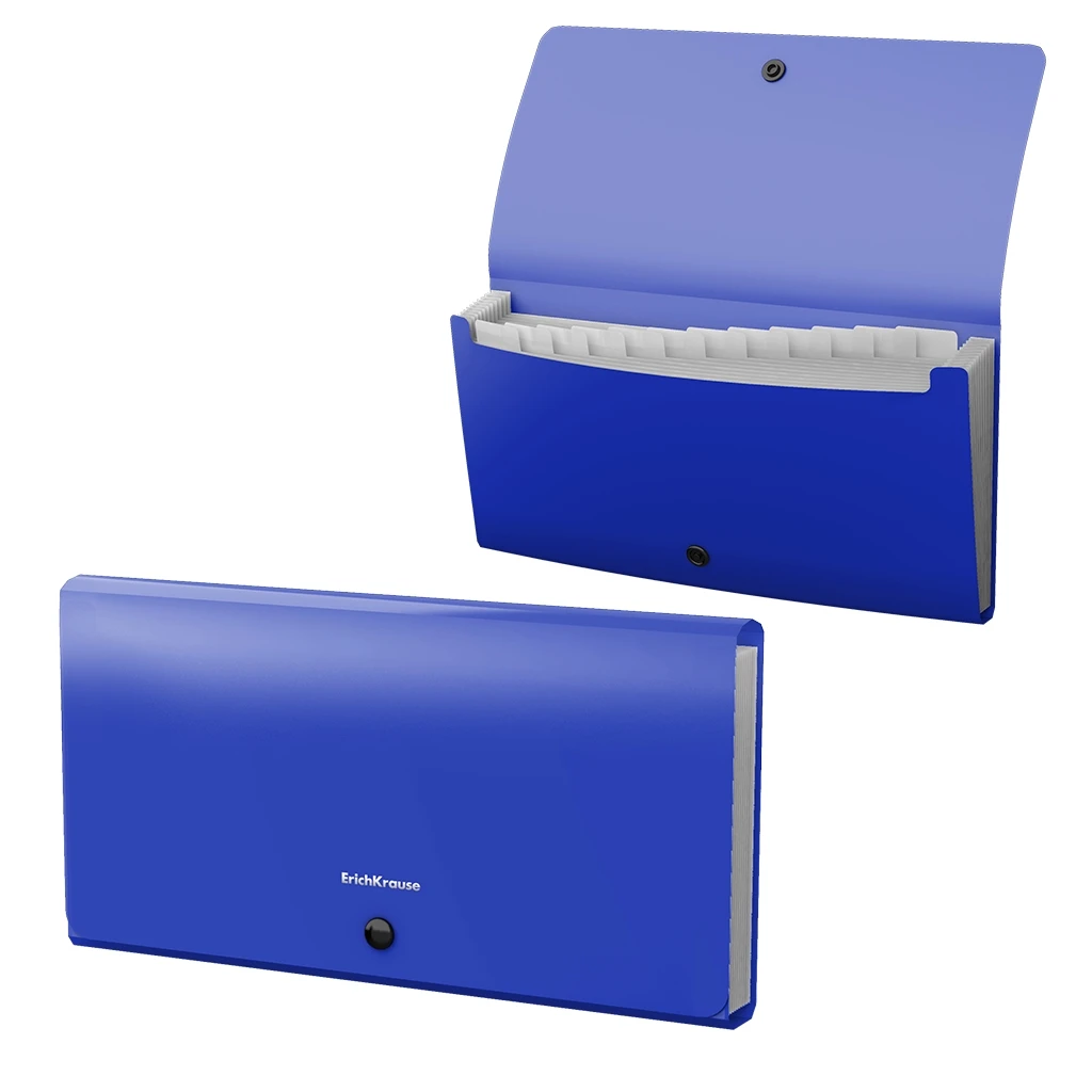 Папка-картотека пластиковая Erich Krause Matt Classic, с 12 отделениями, Check