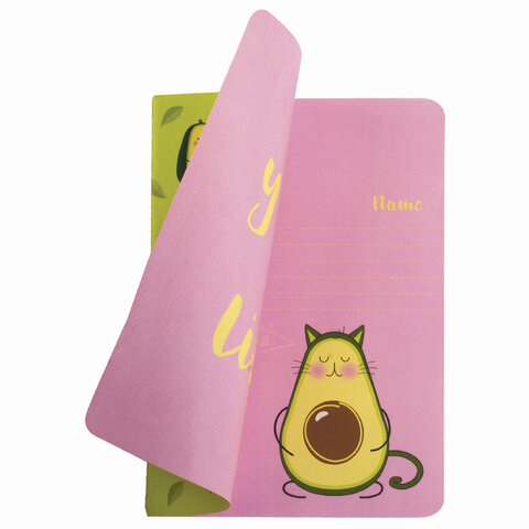 Тетрадь 40 л. в клетку обложка SoftTouch, бежевая бумага 70 г/м2, сшивка, А5