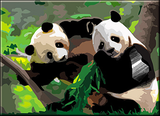 Панда рисунок для детей раскраска