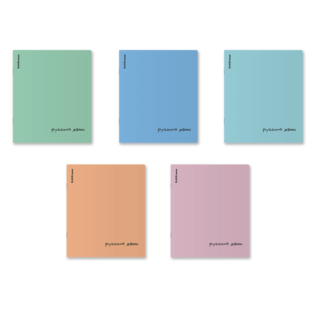 Тетрадь общая ученическая с пластиковой обложкой на скобе ErichKrause Dream, Тетрадь общая ученическая с пластиковой обложкой на скобе ErichKrause Dream,