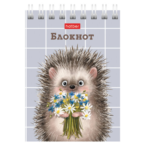Блокнот МАЛЫЙ ФОРМАТ А7, 40 л., гребень, картон, клетка, HATBER, "Хорошо Блокнот МАЛЫЙ ФОРМАТ А7, 40 л., гребень, картон, клетка, HATBER, "Хорошо