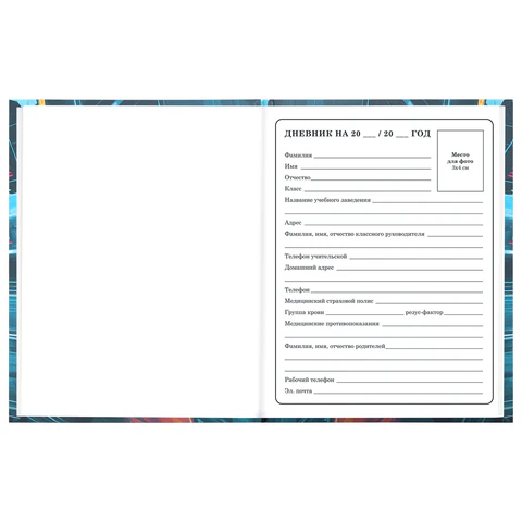 Дневник 1-4 класс 48 л., твердый, BRAUBERG, выборочный лак, с подсказом,
