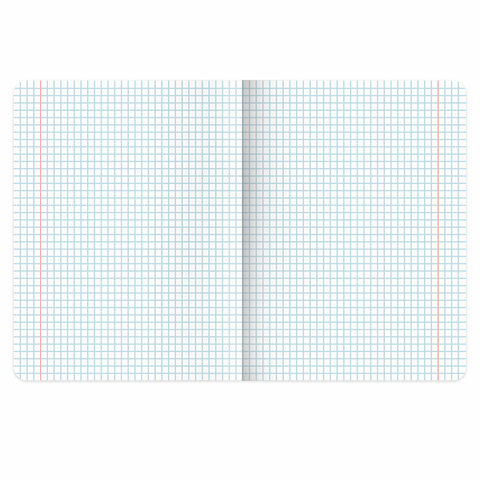 Тетради предметные, КОМПЛЕКТ 12 ПРЕДМЕТОВ, 48 л., TWIN лак, BRAUBERG Тетради предметные, КОМПЛЕКТ 12 ПРЕДМЕТОВ, 48 л., TWIN лак, BRAUBERG