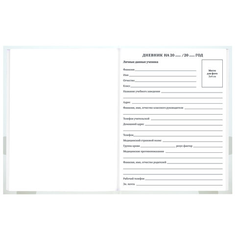 Дневник 1-11 класс 40 л., твердый, BRAUBERG, матовая ламинация,