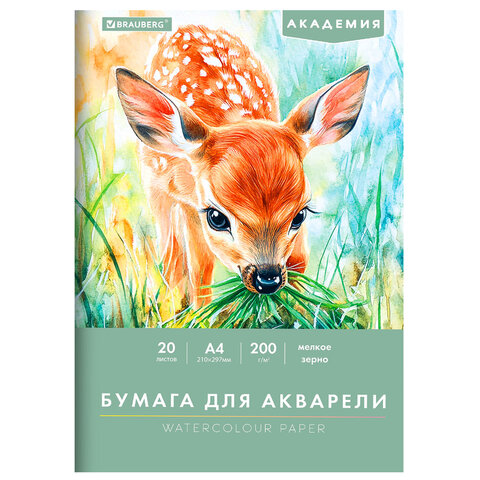 Папка для акварели А4, 20 л., 200 г/м2, 210х297 мм, BRAUBERG АКАДЕМИЯ, Папка для акварели А4, 20 л., 200 г/м2, 210х297 мм, BRAUBERG АКАДЕМИЯ,