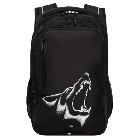 Рюкзак GRIZZLY школьный, анатомическая спинка, 3 отделения, для мальчиков,