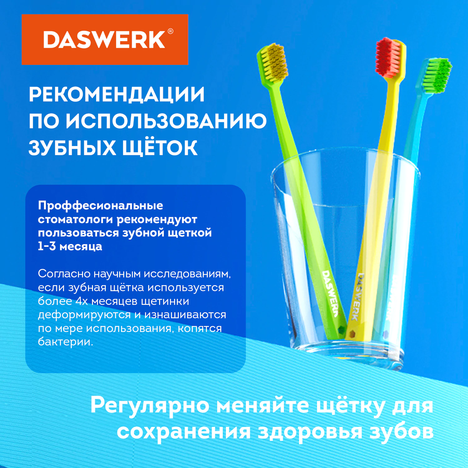 Зубные щетки, набор 10 штук, СРЕДНЕ-МЯГКИЕ (MEDIUM SOFT), DASWERK (ДАСВЕРК),