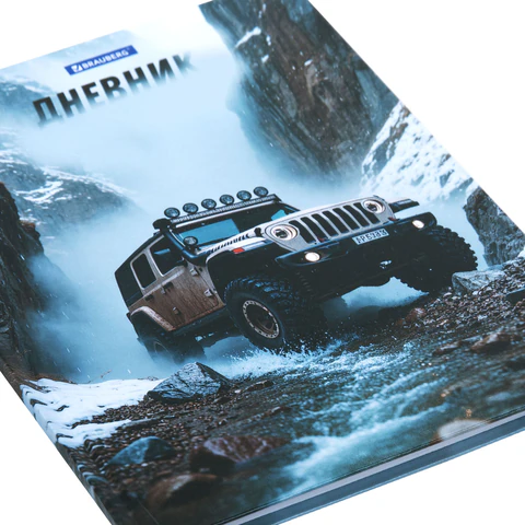 Дневник 1-4 класс 48 л., твердый, BRAUBERG, глянцевая ламинация, с подсказом,