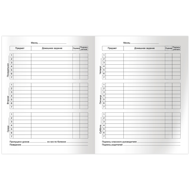 Дневник 1-4 кл. 48л. (твердый) BG "Без проблем", матовая ламинация