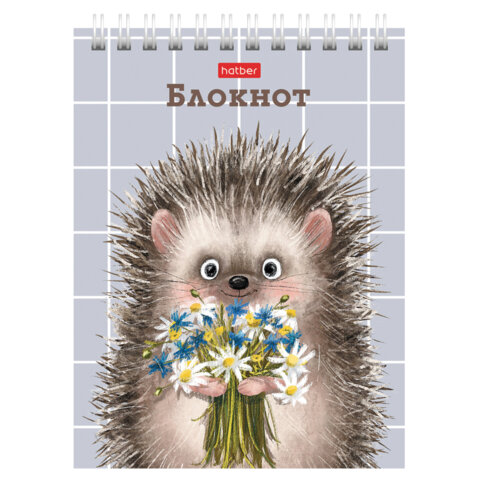 Блокнот МАЛЫЙ ФОРМАТ А6, 40 л., гребень, картон, клетка, HATBER, "Хорошо
