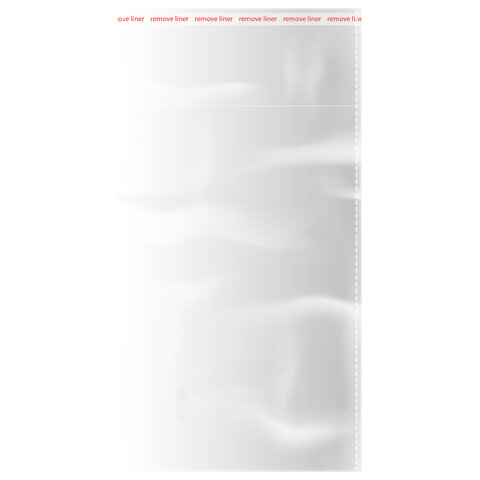 Пакеты БОПП с клеевым клапаном, КОМПЛЕКТ 100 штук, 10х15 + 4 см, 25 мкм, с