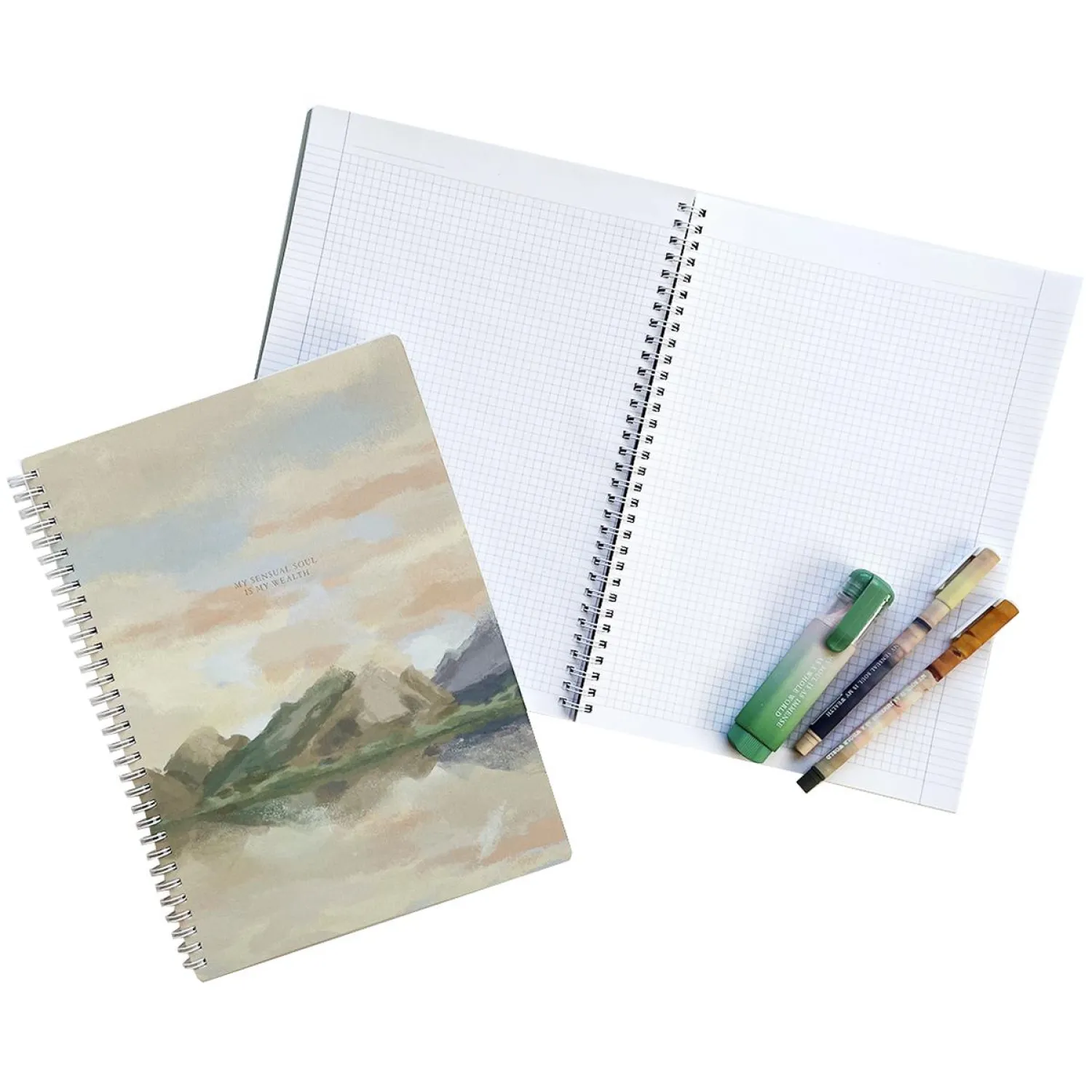 Бизнес-тетрадь, А4, 96 листов, клетка, спираль Be Smart, View N3406