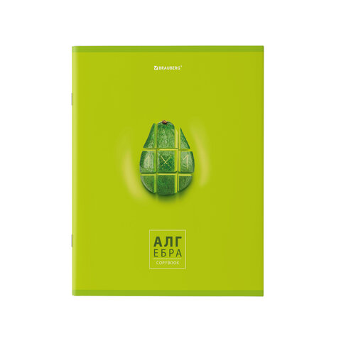 Тетради предметные, КОМПЛЕКТ 10 ПРЕДМЕТОВ, AVOCADO, 48 л., глянцевый УФ-лак,