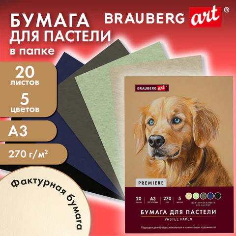 Бумага для пастели ФАКТУРНАЯ, А3, в папке, 20 листов, 5 цветов, 270 г/м2,